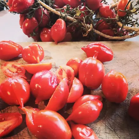 Takeamalficoast Main House