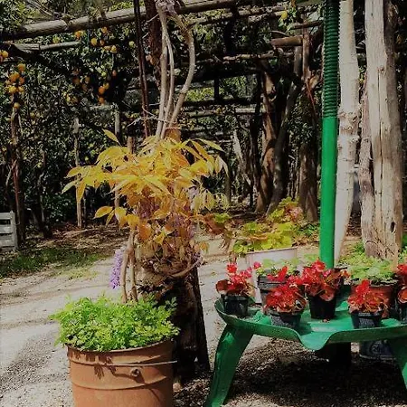 B&B Takeamalficoast Main House 4*