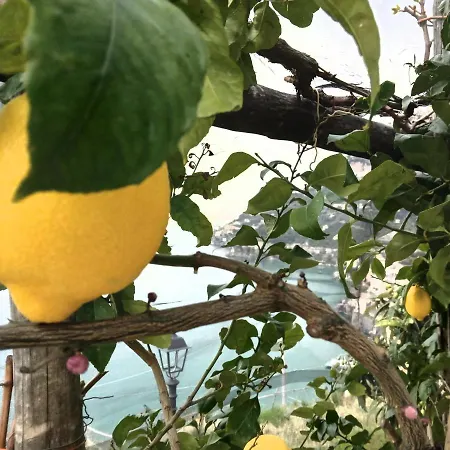 فندق مبيت وإفطار Takeamalficoast Main House مينوري