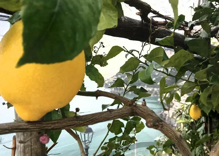 לינה וארוחת בוקר Takeamalficoast Main House מינורי